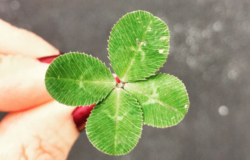How to Get Lucky