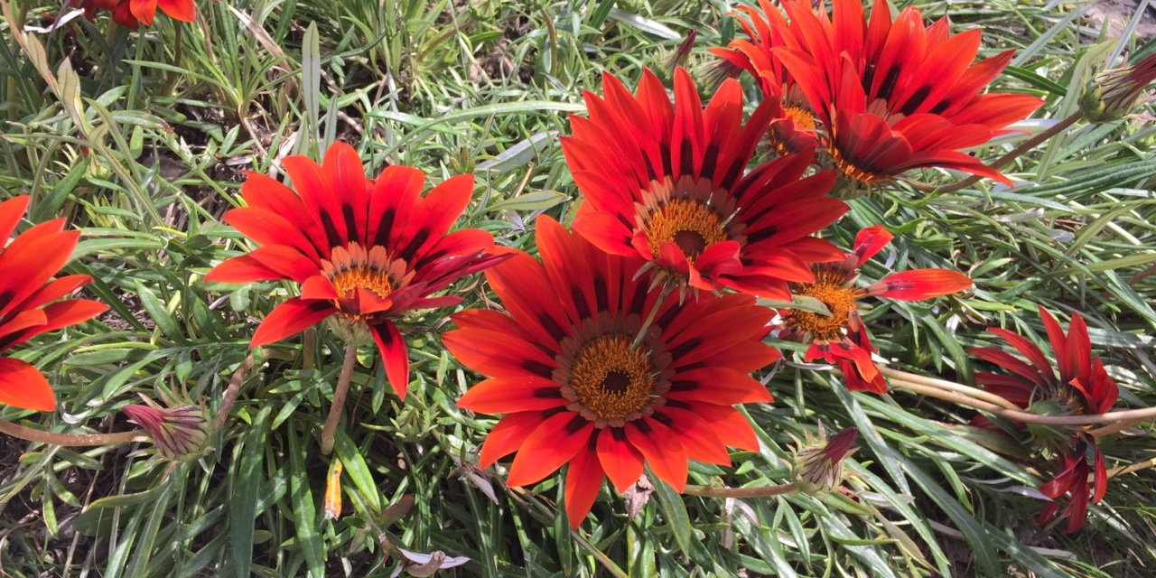 Astrology: breezing through change